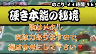 硬き本能の秘境❗️攻略❣️