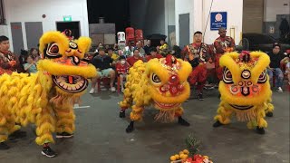 齊神宮龍獅體育會 Chee Seng Kong Lion Dance Cai Qing Performance at Sheng Lian Gong 5 Aug 2023