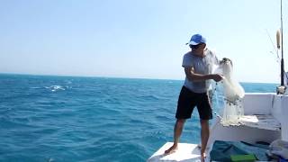 cast net fishing