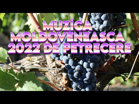 Download 4 Ore De Muzica Sarbe Moldoveneasca Muzica Moldoveni Etno Chef Show Hituri Bomba Mp3