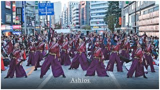 【4K】風神 2024 「奏向」  [東京よさこい2024 アゼリア通り会場]