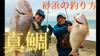 【サーフで真鯛】砂浜で大真鯛を釣るには。ショアレッド降臨！奇跡？いや、みんなにチャンスがある！！