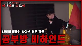 [무속인 고스트헌터의 비하인드 스토리] 나무를 베어 화가 난 터주귀신 /공부방 비하인드