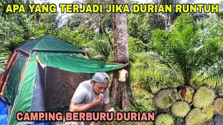 APA YANG TERJADI JIKA DURIAN RUNTUH || CAMPING BERBURU DURIAN