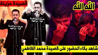 سفير القصيدة الحسينية الشاعر محمد الفاطمي قصائده  كبيرة || مهرجان تاريخ المشرعة