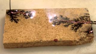 Lichtenberg Figures