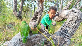 Mr. Leap Movie With Parrots In A Nest. #bird #birdsbirds #wildbirds #funny #nature #foryou