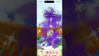 Pokémon GO 暗影道館-鳳王（色違）