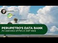 PERUPETRO´S DATA BANK