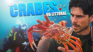 Les Crabes : La Forme Parfaite de la Terre (Non Censuré)