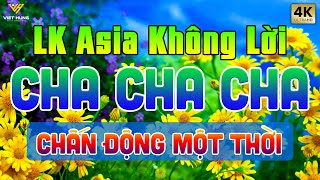 LK ChaChaCha Melody Anh Quốc Chấn Động Một Thời - Hoà Tấu Cha Cha Cha Hay Nhất Thập Niên 7X 8X 9X