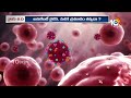 special focus on china s virus hmpv వణికిస్తున్న చైనా వైరస్ 2.o 10tv