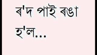 Rod Pai Ronga Hol ৰ'দ পাই ৰঙা হ'ল