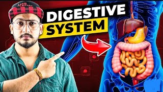 Complete Digestive System | Digestive System Full Video | Digestive System Notes #laboratory#biology