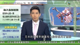 無綫6:30 六點半新聞報道｜張家朗花劍世界盃巴黎站奪冠 ｜內地反貪腐節目《零容忍》首播 披露孫力軍受賄數億元人民幣｜日本茨城縣日立紅寒櫻花樹開花 ｜2022年1月16日 TVB News