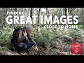 Finding Great Images Close to Home | Nature Photography