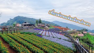 พาลูกเที่ยว ม่อนแจ่ม เชียงใหม่ ช่วงสิ้นปี 2023-2024 ก่อนหมอกควันจะมา Mon Jam Chiang Mai