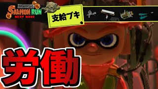 【スプラトゥーン3】今日はカンストを狙わない楽しいサーモンラン生放送