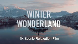 Winter Wonderland 4K Scenic Peace Relaxation Film
