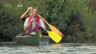 Beavers on the River Otter Devon