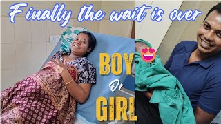 Finally the wait is over || BOY or GIRL ? #rourkelayoutuber