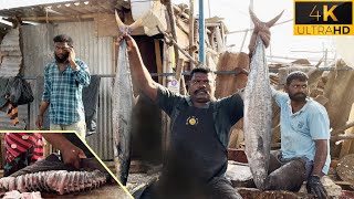 பெரிய வஞ்சரம் மீன் துண்டு Kasimdu Speed Selvam |vanjaram fish cutting |#fishcutting #kasimeduselvam