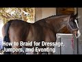 How to Braid a Horse's Mane for Dressage, Jumpers, or Eventing