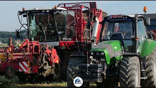 Arrachage de betteraves | Agrifac Exxact OptiTraxx | Ducoulembier SPRL