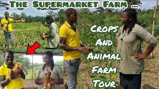 The Biggest Little Farm Tour | 100 % Organic Mixed Crop Farm On Small Space  | Frenat Farms