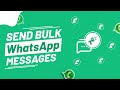 How to Send Bulk WhatsApp Messages | What is WhatsApp Business API? | Cunnekt