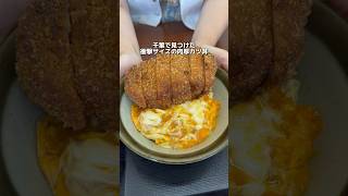 極厚すぎると今話題のとじないカツ丼が最高すぎる、、、#千葉グルメ#japantravel #japanfood