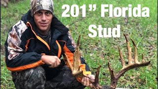 201” Monster Buck Harvested in Florida