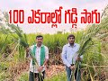 100 ఎకరాల్లో 18 రకాల గడ్డి సాగు | రైతు బడి