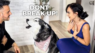 Telling My Husky We Are Breaking Up (SHE GOT SO MAD)!