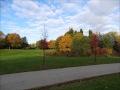 SPRING, SUMMER, AUTUMN and WINTER AT FLEET WOOD PARK, MISSISSAUGA, CANADA, May 2016 SPRING, SUMMER, AUTUMN and WINTER AT FLEET WOOD PARK, MISSISSAUGA, CANADA, May 2016