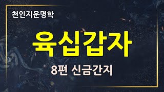 [육십갑자] 8편 신금간지