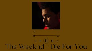 The Weeknd - Die For You [lyrics]