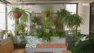 [생방송 오늘 아침] 겨울철 습도 관리법!, MBC 211216 방송