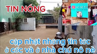 25 tháng 2 cập nhật những tin tức ở nhà chú nô và ở cốc