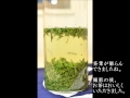 楽しいお茶の世界　お茶の葉の舞い　煎茶バージョン