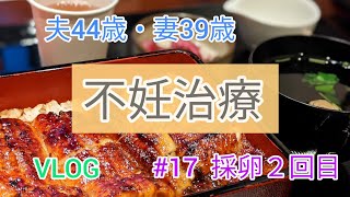 【不妊治療 Vlog】#17 採卵2回目 / 採卵結果 / 異常受精