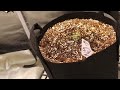 auto flower weekly harvest how to germinate every seed every time ..... even super old seeds