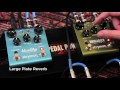 strymon brigadier delay and bluesky reverberator verbed delay demo