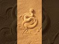 Sahara sand viper disappears in the sand in the desert of Morocco #herping #viper #sandviper