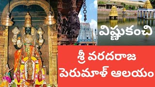 కాంచీపురం | విష్ణుకంచి | వరదరాజ పెరుమాళ్ ఆలయం #kanchipuram #pallakiseva #divyadesam