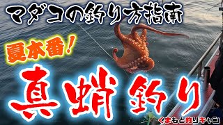 【夏のマダコ釣り】タコの釣り方を指南して貰って有明海の真蛸を攻略！　#タコ釣り #天草 #遊漁船