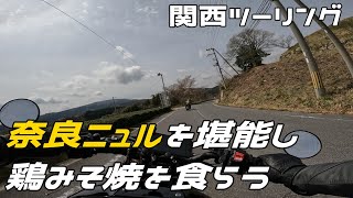 【関西ツーリング】奈良ニュルを端から端まで走ってみよう【XSR900】