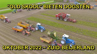 Old Skool Bietenoogst Zuid-Beijerland 2022