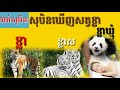 សុបិនឃើញខ្លា ខ្លាឃ្មុំ និងខ្លាស dreaming seeing of the tiger