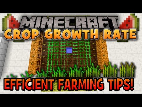 Minecraft: Crop Growth Rate (Efficient Farming Tips) Minecraft: Crop Growth Rate (Efficient Farming Tips)